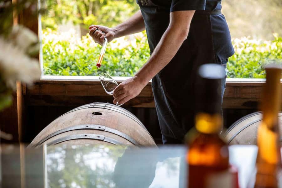 Pokolbin: Cheese and Barrel Wine Tasting at Audrey Wilkinson - The Brokenback Ranges provide the setting