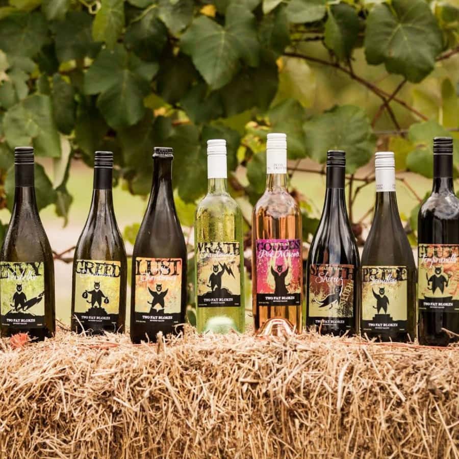Pokolbin: Hunter Valley Half-Day Tour with Cheese and Wine - Key points to know before booking