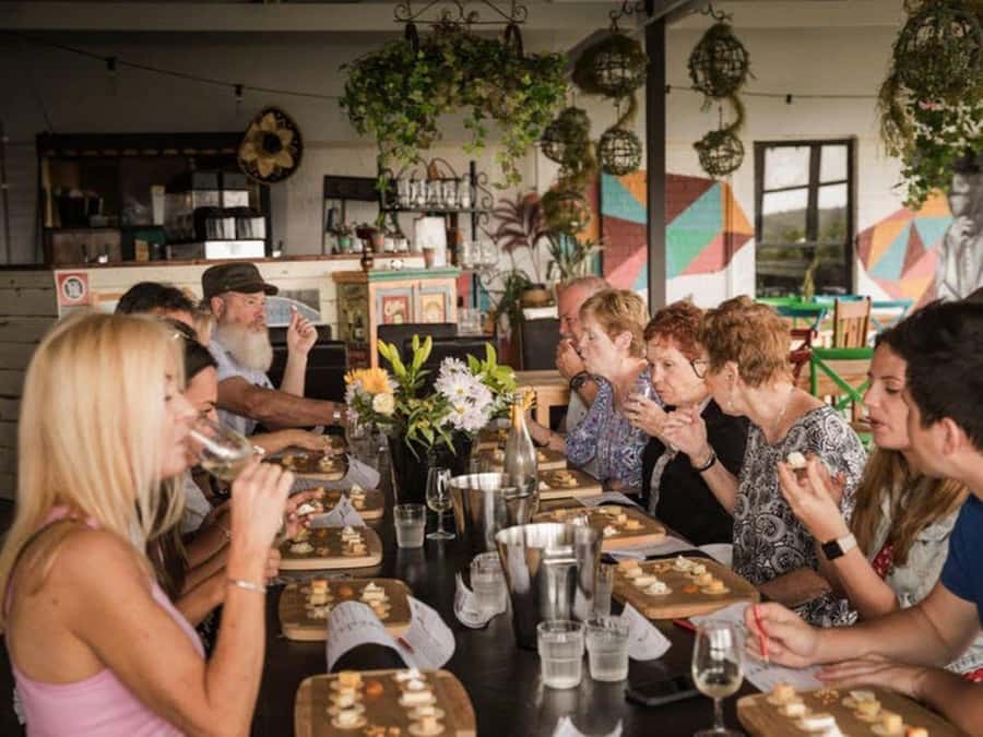 Pokolbin: Hunter Valley Half-Day Tour with Cheese and Wine - A smart first taste of the Hunter Valley