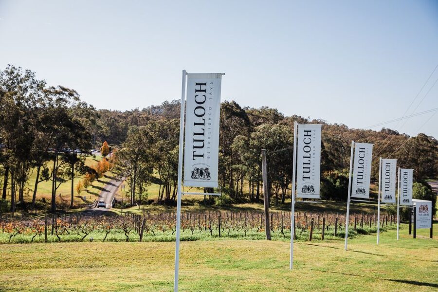 Pokolbin: Tulloch Hunter Heroes Wine Tasting & Cheese Board - A practical choice for families and mixed-age groups
