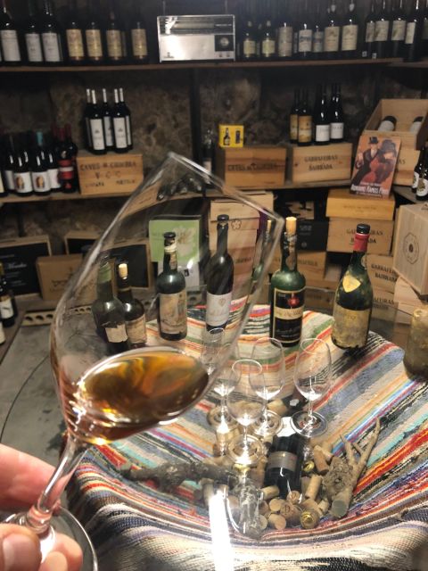 Porto: Cheese and Port Wine Tasting in a Unique Place - Three ports and the art of pairing