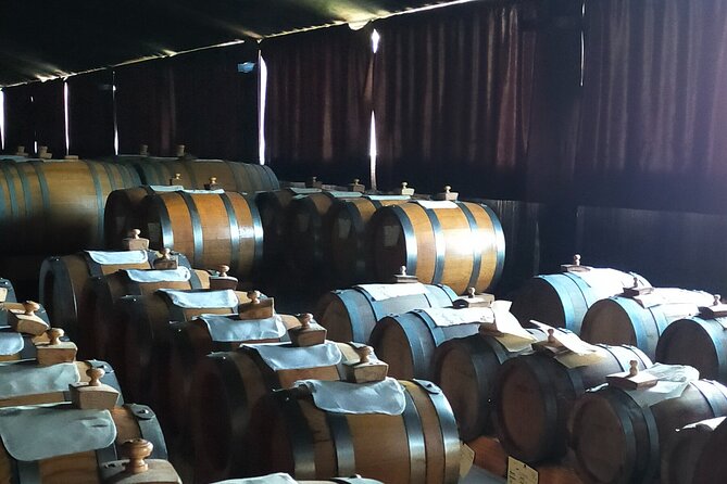 Private Balsamic vinegar & Parmigiano Reggiano factory visits - Inside a Parmigiano Reggiano dairy