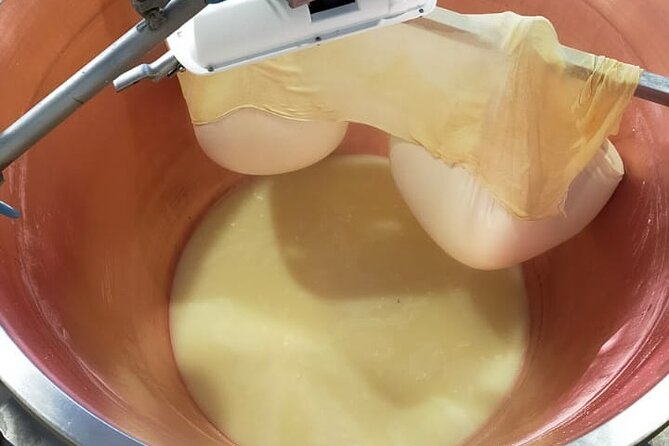 Private Balsamic vinegar & Parmigiano Reggiano factory visits - A private format with a real transport catch