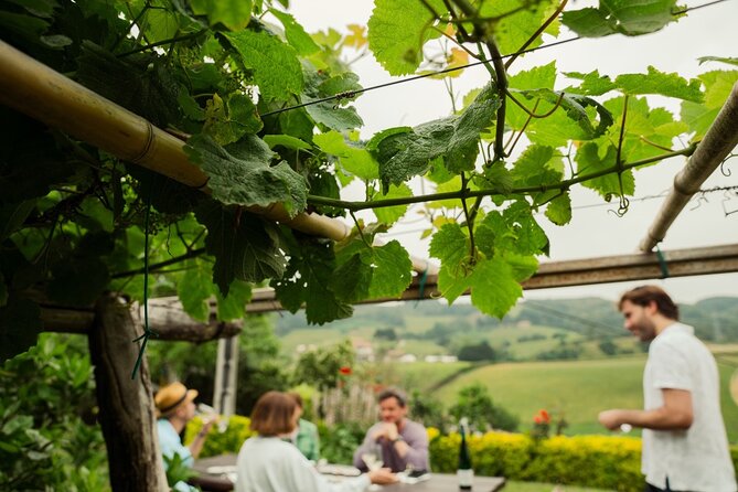 Private Basque Cheese & Txakoli Wine Tour from San Sebastian - Why this Basque food day works so well