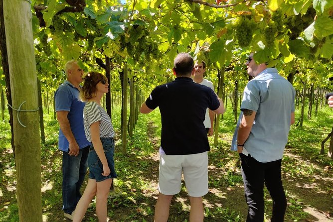 Private Basque Cheese & Txakoli Wine Tour from San Sebastian - The return road over Mount Igeldo