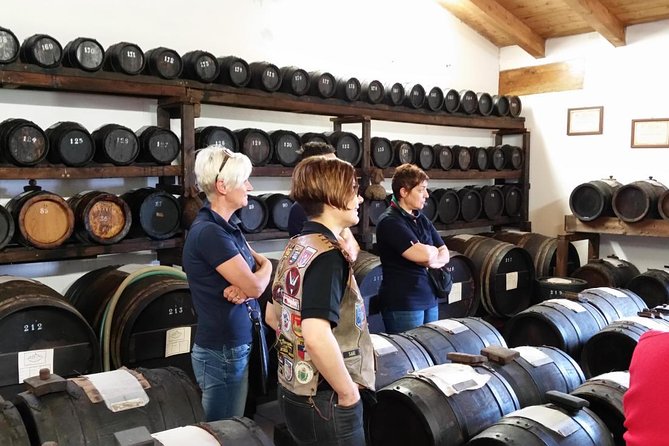 Private Day Tour & Lunch: Parmesan, Wine, and Vinegar Tasting - Key points at a glance