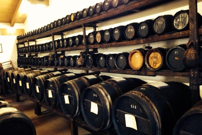 Private Day Tour & Lunch: Parmesan, Wine, and Vinegar Tasting - Parmigiano Reggiano, wheels, and the working dairy