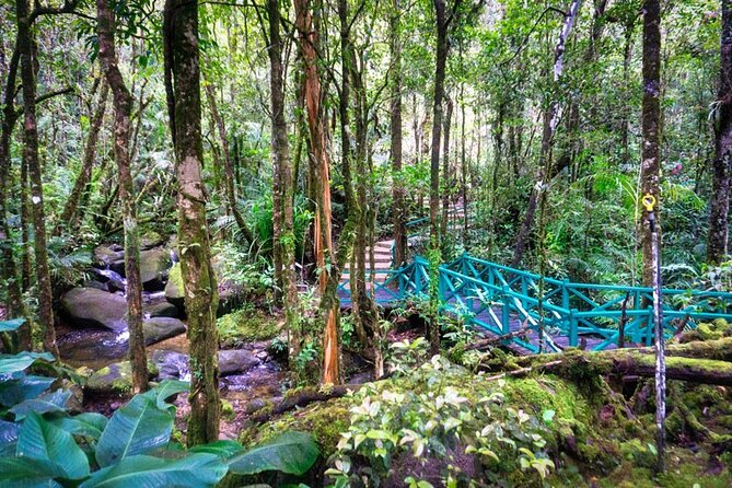 Private Desa Dairy Farm, Kinabalu National Park, Hot Spring & Canopy Walk Tour - Poring Hot Springs and the optional canopy walk