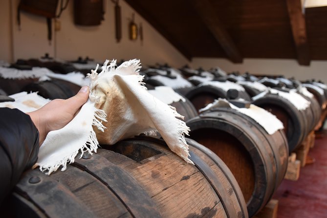 Private Full Day Parma Food Tour: Parmesan Cheese, Parma Ham, Lunch, Vinegar - A Parma lunch with tortelli d’erbetta