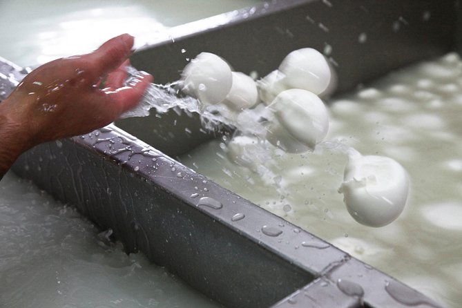 Private guided tour of Paestum and Buffalo Mozzarella farm lunch - Price, extra fees, and overall value