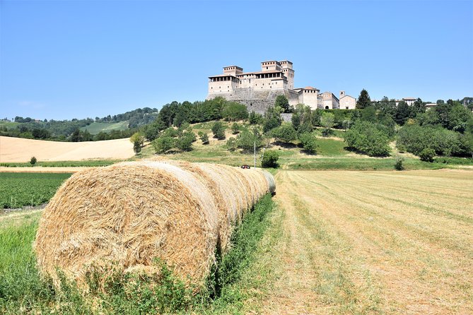Private Half Day Parma Food Tour: Parmesan Cheese, Parma Ham, Lunch - Who should book this Parma food tour?