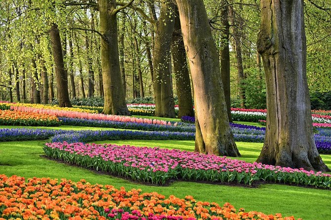 Private Keukenhof, Gardens, Windmills, cheese tour from Amsterdam - A Full Day of Dutch Icons Beyond Amsterdam