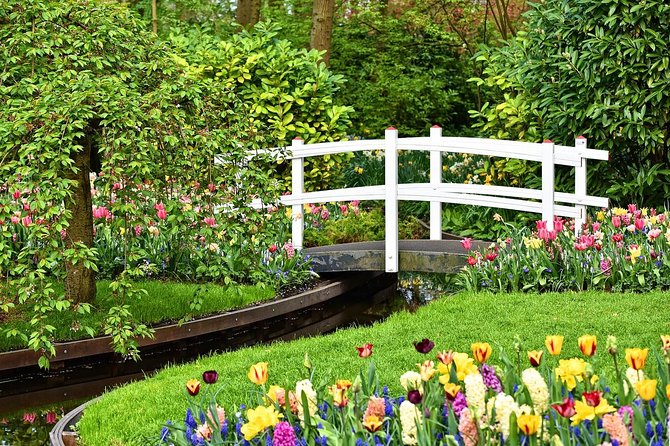 Private Keukenhof, Gardens, Windmills, cheese tour from Amsterdam - Zaanse Schans: Windmills With Working Interiors