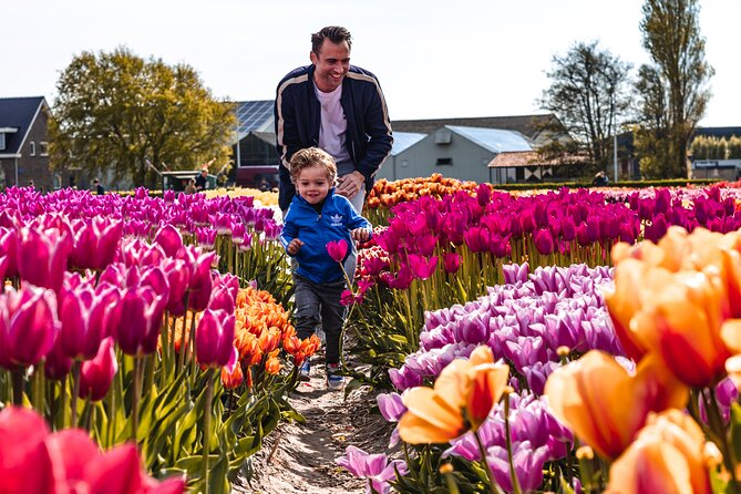 Private Keukenhof, Gardens, Windmills, cheese tour from Amsterdam - Molen De Kat and the Story of Dutch Paint