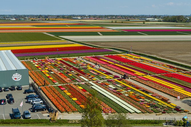Private Keukenhof, Gardens, Windmills, cheese tour from Amsterdam - Jacobs Hoeve Cheese Farm: Thirty Tastes and a Rural Stop