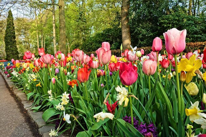 Private Keukenhof, Gardens, Windmills, cheese tour from Amsterdam - Keukenhof: Two Hours Among Seven Million Bulbs