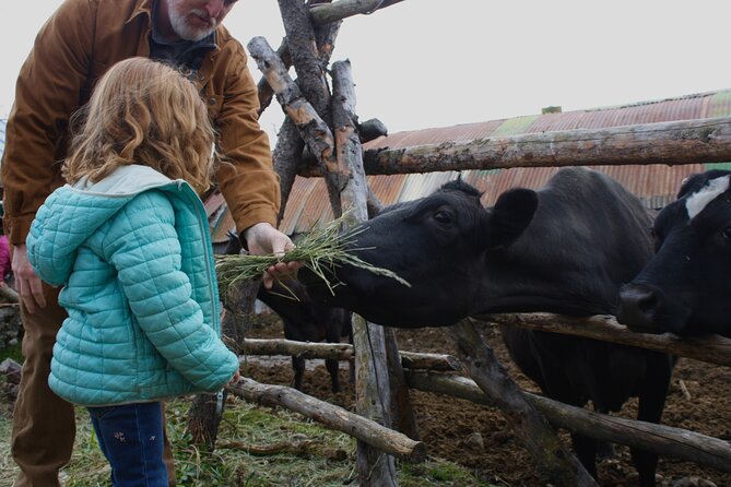 Private Tour at Historic Alaska Dairy Farm - A Working Alaska Farm, Not Just a Cow Photo Stop