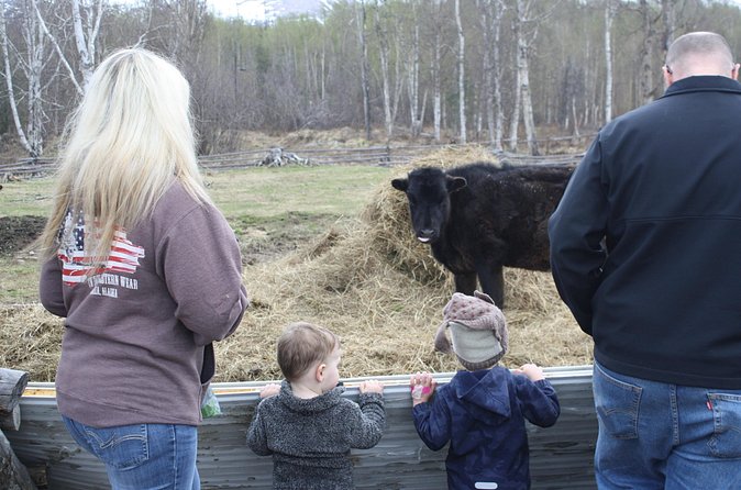 Private Tour at Historic Alaska Dairy Farm - Cows, Icelandic Sheep, and Rabbits