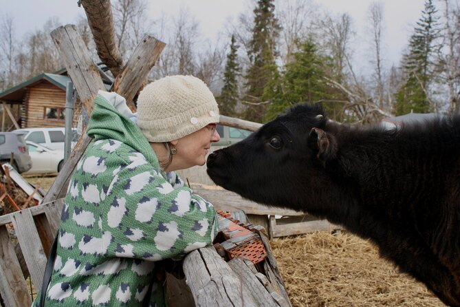 Private Tour at Historic Alaska Dairy Farm - The $15 Price and What You Receive