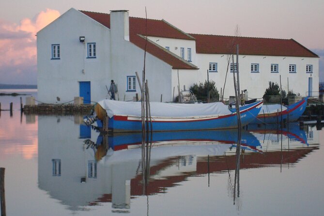 Private Tour to Arrabida with Wine and Cheese Tasting at the Mourisca Tide Mill - What the private format adds