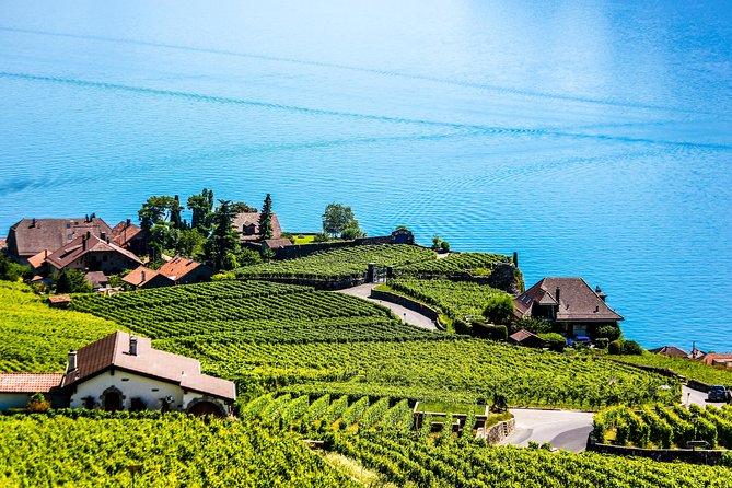 Private Tour to Gruyères, Chocolate & Cheese Factory from Geneva - Two hours in medieval Gruyères