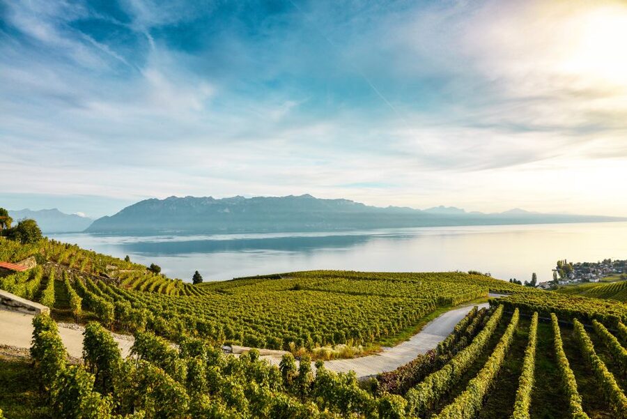 Private Tour to Gruyeres with Cheese and Chocolate Factory - Why this Geneva day trip works
