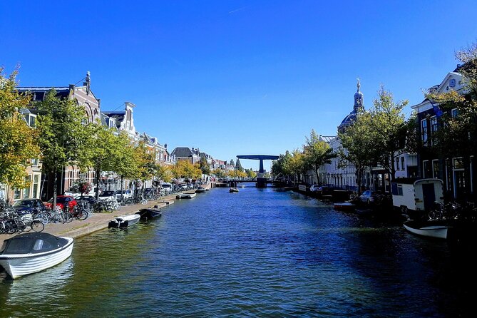 Private Tour to Kinderdijk and Delft / Leiden / Hague / Gouda - How the private car changes the day