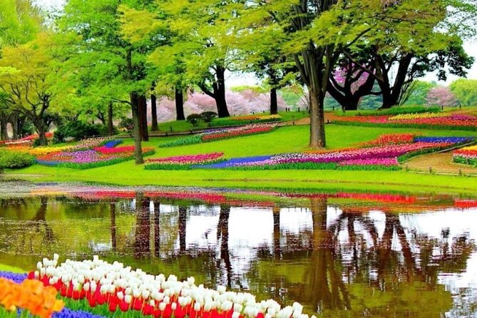 Private Tour to Tulips, Keukenhof, Windmills & Cheese Farm - The Tulip Experience: a gentler start among the fields