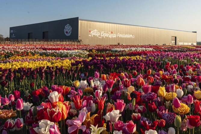 Private Tour to Tulips, Keukenhof, Windmills & Cheese Farm - Zaanse Schans and the craft of wooden shoes