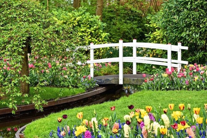 Private Tour to Tulips, Keukenhof, Windmills & Cheese Farm - What the $470.43 price really buys