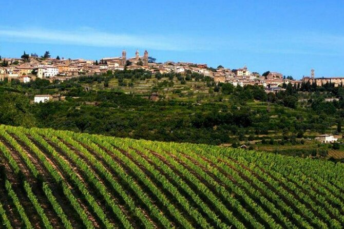 Private tour Wine and cheese a perfect combinations val 'Orcia - Key points to know before booking