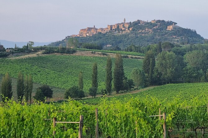 Private tour Wine and cheese a perfect combinations val 'Orcia - Podere Il Casale shows how pecorino is made