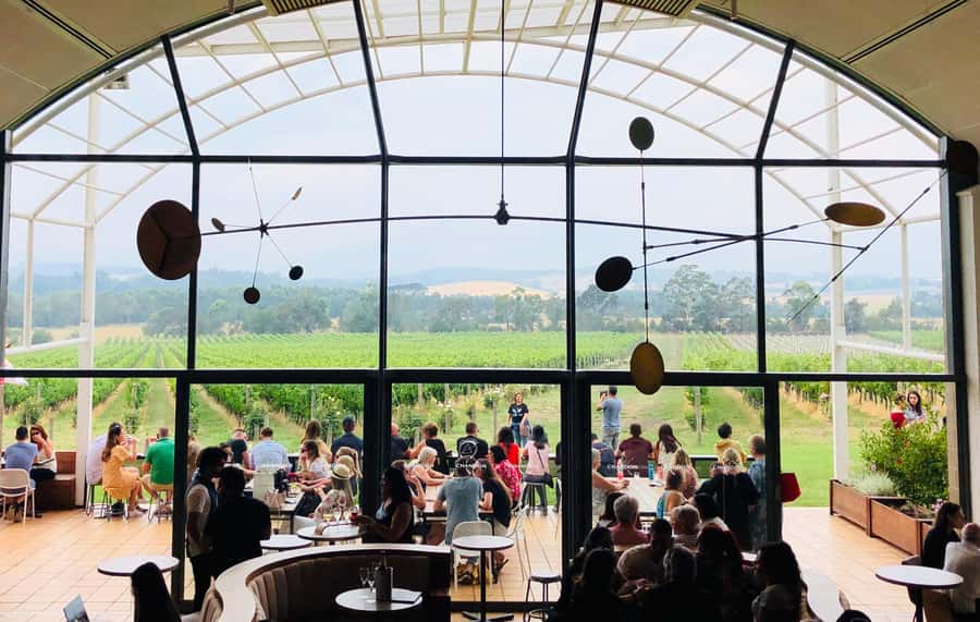 Private Tour: Yarra Valley Wine, Cheese, Gin & Chocolatrie - Lunch in the middle of the day