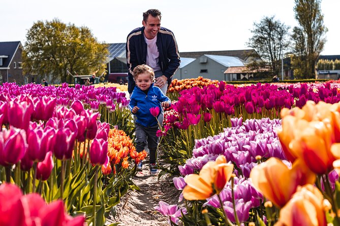 Private Tulip Fields, Windmills and Cheese Tour from Amsterdam - Jacobs Hoeve: a taste of Dutch cheese