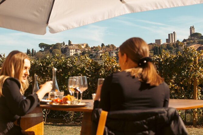Private wine, Extra Virgin Olive Oils & Cheese Tasting - A view of towers, vines, and olive trees