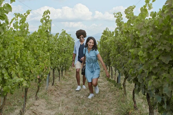 Private Wine Tour in Niagara-on-the-Lake w/ cheese & charcuterie - A private route through Niagara wine country