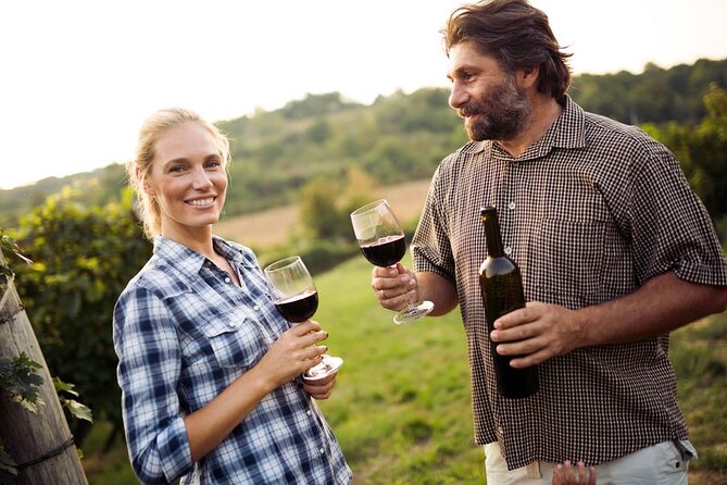 Private Wine Tour in Niagara-on-the-Lake w/ cheese & charcuterie - Timing, comfort, and the small print