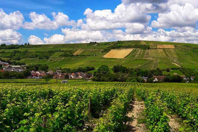 Private wine tour to Sancerre vineyards from Paris with Sommelier - What a private tour changes