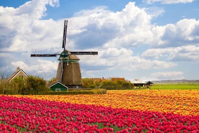 Private Zaanse Schans & Volendam Tour: Windmills, Cheese & Clogs - A five-hour escape from Amsterdam