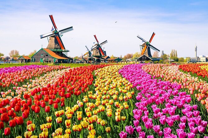 Private Zaanse Schans & Volendam Tour: Windmills, Cheese & Clogs - Is $341.53 per person a fair price?