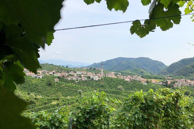 Prosecco Hills Wine and Cheese Gourmet Discovery - The guides can make or break the day