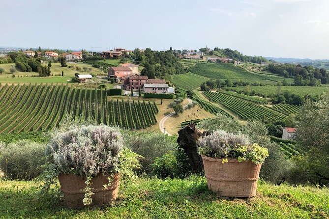 Prosecco Hills Wine and Cheese Gourmet Discovery - Should you book it?
