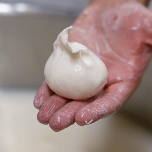 Puglia: Masseria Seppunisi Tour, Cheese, Burrata Tasting - From 16th-century farm to fresh burrata
