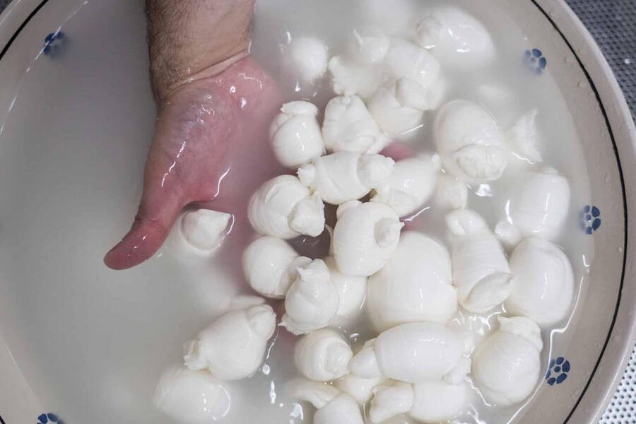 Puglia: Masseria Seppunisi Tour, Cheese, Burrata Tasting - Why the working-farm setting matters