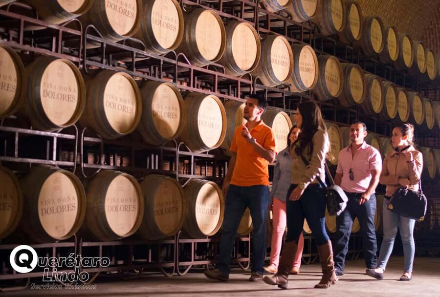 Querétaro: Art, Cheese and Wine Route - Key points to know before booking