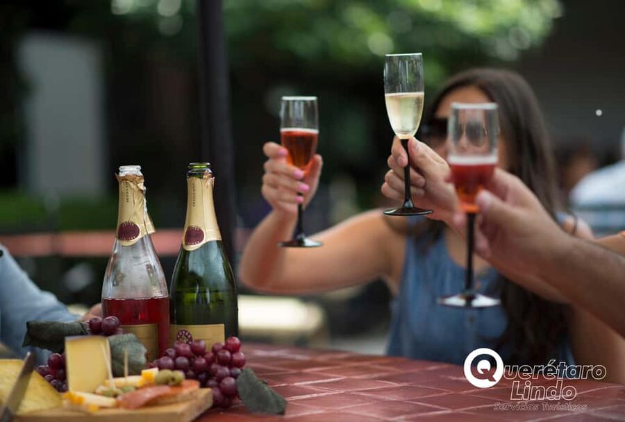 Querétaro: Art, Cheese and Wine Route - Viña Tx and the 13-cheese tasting