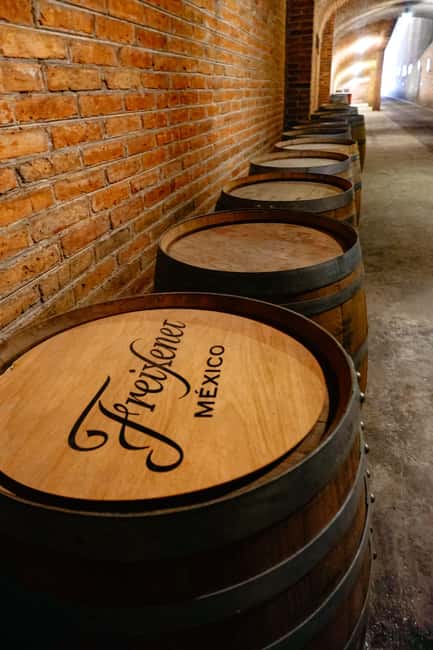 Querétaro: Art, Cheese and Wine Route - Freixenet and the Doña Dolores cellar