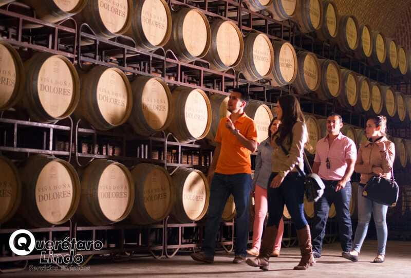 Querétaro: Art, Cheese and Wine Route - Who will enjoy this route most