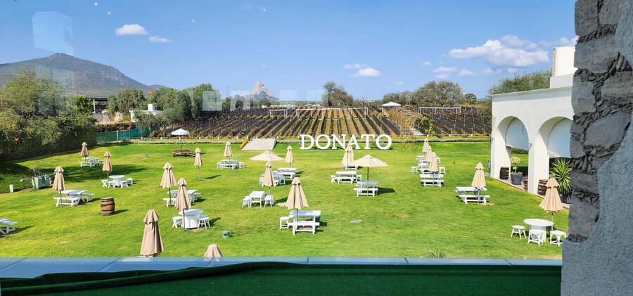 Querétaro: Bernal & Tequisquiapan Trip with Wine & Cheese - Who will enjoy this trip most