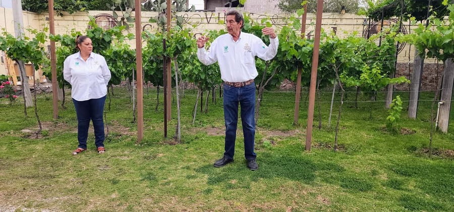 Querétaro: Bernal & Tequisquiapan Trip with Wine & Cheese - Should you book the Bernal and Tequisquiapan day trip?
